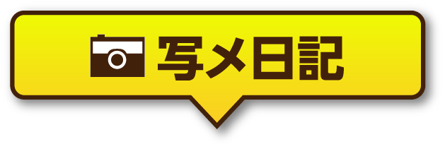 写メ日記