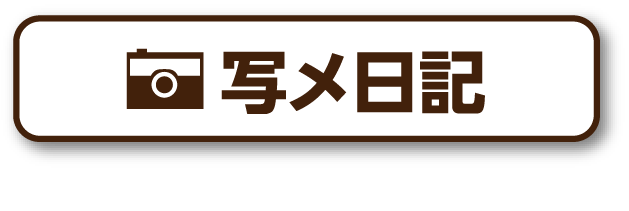 写メ日記